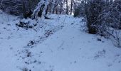 Randonnée Raquettes à neige Andon - Descente vers le Loup en raquettes - Photo 7