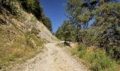 Trail Walking Gresse-en-Vercors - Roche Rousse - Photo 3