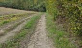 Tour Wandern Bueil-en-Touraine - Bueil-en-Touraine - Autour de la vallée du Long - Photo 15