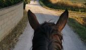 Trail Horseback riding Fronton - Trec 2 finalisé - Photo 1