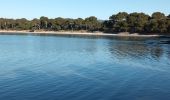 Tour Wandern La Londe-les-Maures - Plage de l'Argentière à Cabasson en A/R-14-01-22 - Photo 9