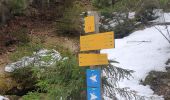 Trail Walking Les Avanchers-Valmorel - Valmorel par l'Ormay - Photo 4