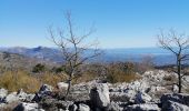 Tour Wandern Saint-Vallier-de-Thiey - Colle du Maçon,Le Doublier,  Castellaras de la Malle du Col du Ferrier - Photo 3