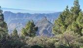 Percorso Marcia Tejeda - Roque Nublo (Gran Canaria) - Photo 5