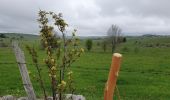 Randonnée Marche Marchastel - [06] Compostelle : de Marchastel / Nasbinals à Saint-Chély-d'Aubrac - Photo 3