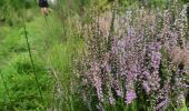 Tour Wandern Paliseul - jelly avec marraine tonton  - Photo 2