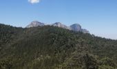 Excursión Senderismo La Chaudière - Le mont faraud - Photo 7