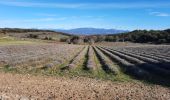 Excursión Senderismo Chantemerle-lès-Grignan - Chantemerle Clansayes 15km - Photo 1