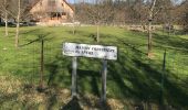 Tour Wandern Urmatt - Lutzelhouse Rosinen Fels , cascade,séquoia  - Photo 1