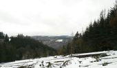 Trail Walking Houffalize - Nadrin-Berismenil-Nadrin - Photo 1