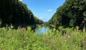 Tocht Stappen Tervuren - Tervuren - Duisburg - Eizer - Photo 15