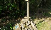 Tour Wandern Termes - Termes ( Aude )  + les gorges de Terminet +le Nitable roc - Photo 20
