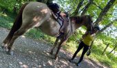 Trail Horseback riding Beaufort - Chez nous à chez Bertrand  - Photo 15