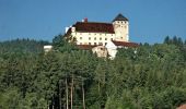 Percorso A piedi Gemeinde Krumbach - Himmelsteigrunde, Krumbach Gemeinde Parkplatz - Seisbühel - Museumsdorf - Photo 5