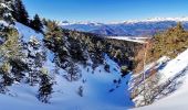 Excursión Esquí de fondo Selonnet - 20210218 - Tête grosse - Chabanon - Selonnet - Photo 8