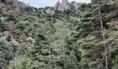 Trail Walking Vernet-les-Bains - Vernet 2 - Photo 6