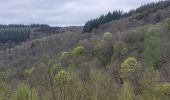 Trail Walking Vresse-sur-Semois - rando laforêt 9-04-2024 - Photo 11