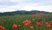 Tour Wandern Chas - Chas_Puy_Pileyre - Photo 1