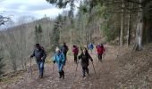 Tocht Stappen Wasserbourg - Boenlesgrab P Ballon  - Photo 4