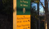 Tour Wandern Beauregard-Baret - Pas de la pierre par le Col des Tourniers - Photo 7