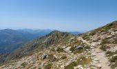 Excursión Senderismo Albertacce - Bivouac dans le GR 20 via lac Nino - Photo 1