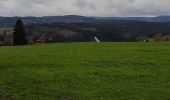 Tocht Stappen Titisee-Neustadt - balade vers Saig - Photo 1