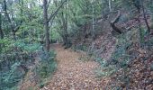 Trail Walking Chaudfontaine - via bois des dames et bois de la rochette  - Photo 16