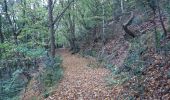 Randonnée Marche Chaudfontaine - via bois des dames et bois de la rochette  - Photo 16