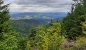 Tocht Stappen Sainte-Marie-aux-Mines - Bagenelle  - Photo 1