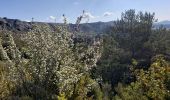 Percorso Marcia Caussols - CAUSSOLS-Les plateaux de Calern et de Caussols-MBO - Photo 5