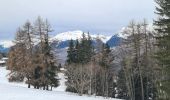 Randonnée Marche La Plagne-Tarentaise - plan bois - Photo 3