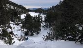 Tocht Sneeuwschoenen Font-Romeu-Odeillo-Via - 20210107 raquettes à Pyrenee 2000 - Photo 4