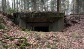 Trail Walking Grandfontaine - Positions fortifiées du Donon - sentier des casemates Sud - Photo 1