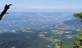 Tour Wandern Autrans-Méaudre en Vercors - Pas de la clé et Bec de l'Orient  - Photo 5