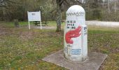 Randonnée Marche Bouxières-aux-Bois - Bouxieres-aux-bois : Le circuit de Virine - Photo 2