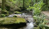 Trail Walking Echternach - Echternach-Beaufort - Photo 5