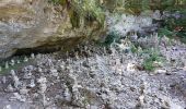 Excursión Senderismo Menétrux-en-Joux - CASCADES DU HERISSON DEPUIS MENETRUX-EN-JOUX - Photo 11