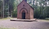 Percorso Marcia Éguelshardt - Notre Dame des Bois - Photo 1