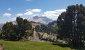 Excursión Senderismo Saint-Julien-en-Beauchêne - 2029 05 31 les 4 cols - Photo 4