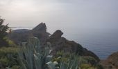 Trail Walking La Ciotat - la ciotat - Photo 4