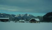 Tocht Te voet St. Wolfgang im Salzkammergut - Bürglsteig - Photo 1