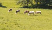 Tocht Stappen Valorbiquet - Aux alentours de St Cyr  - Photo 20