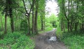Randonnée Marche Choisy-au-Bac - en forêt de Laigue_14_05_2021_les Chemins du Plessis-Brion et de la Voie de l'Eau - Photo 14