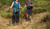 Tocht Stappen Mont Lozère et Goulet - Château de Tournel - Photo 17