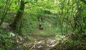 Trail On foot Plombières - Vieux Moulin - Photo 10