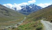 Percorso A piedi Bormio - Pedemontana della Reit - Photo 5