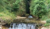 Trail Walking Gorges du Tarn Causses - Sainte enfiliez - Photo 10