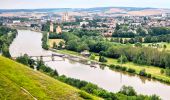 Randonnée A pied Villeneuve-sur-Yonne - Villeneuve Sur Yonne - Sens 32 km étape 1/3 - Photo 1