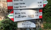 Excursión A pie Monchio delle Corti - Prato Spilla - Lago Ballano - Lago Verde - Lago Martino - Photo 8