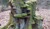 Trail Walking Spa - la havette . berinzenne . thier des rexhons . source geronstere . source barisart .  chapelle de la Roche . la havette  - Photo 6